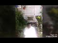 عماد السريوي عماد السريوي
