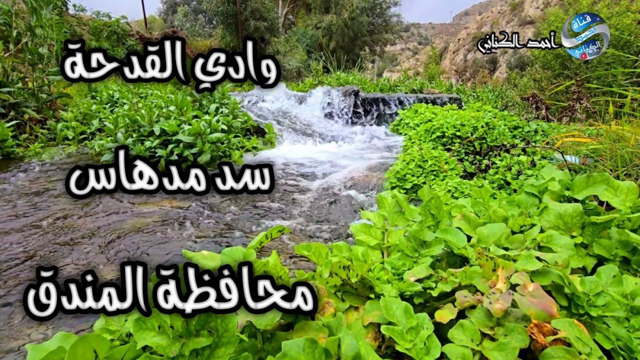 وادي القدحة - سد مدهاس مسير بمحافظة المندق -منطقة الباحة -الأثنين 6-7-1446 درجة الحرارة 15#السعودية