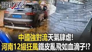 China’s Severe Convective Weather Rages! Henan Hit by Level 12 Gale: Trees Toppled and Metal De...
