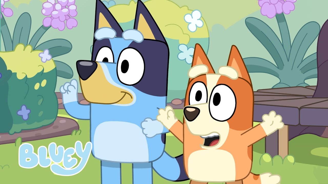Bluey e Bingo em um Desafio de Percurso de Obstáculos! 😯 | Bluey ...