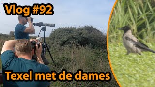 Zeldzame vogels zoeken op Texel | vogelskijken in Nederland