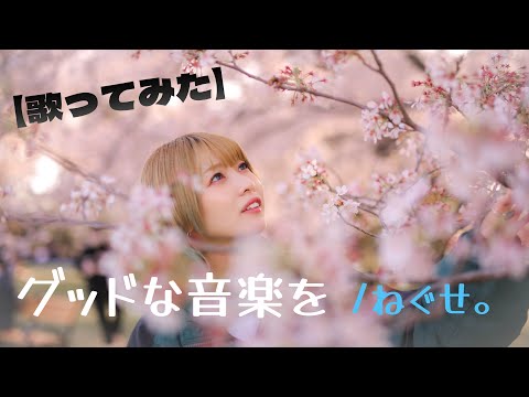 グッドな音楽を/ねぐせ。【歌ってみた】【女性キー】【女性が歌う】明日クラゲに刺されたの【うたくら】