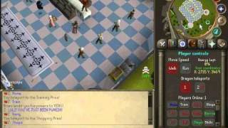 Homiescape 317 Hamachi Server