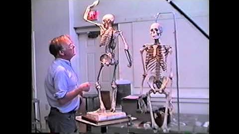 Deane G. Keller: The Harness of Musculature