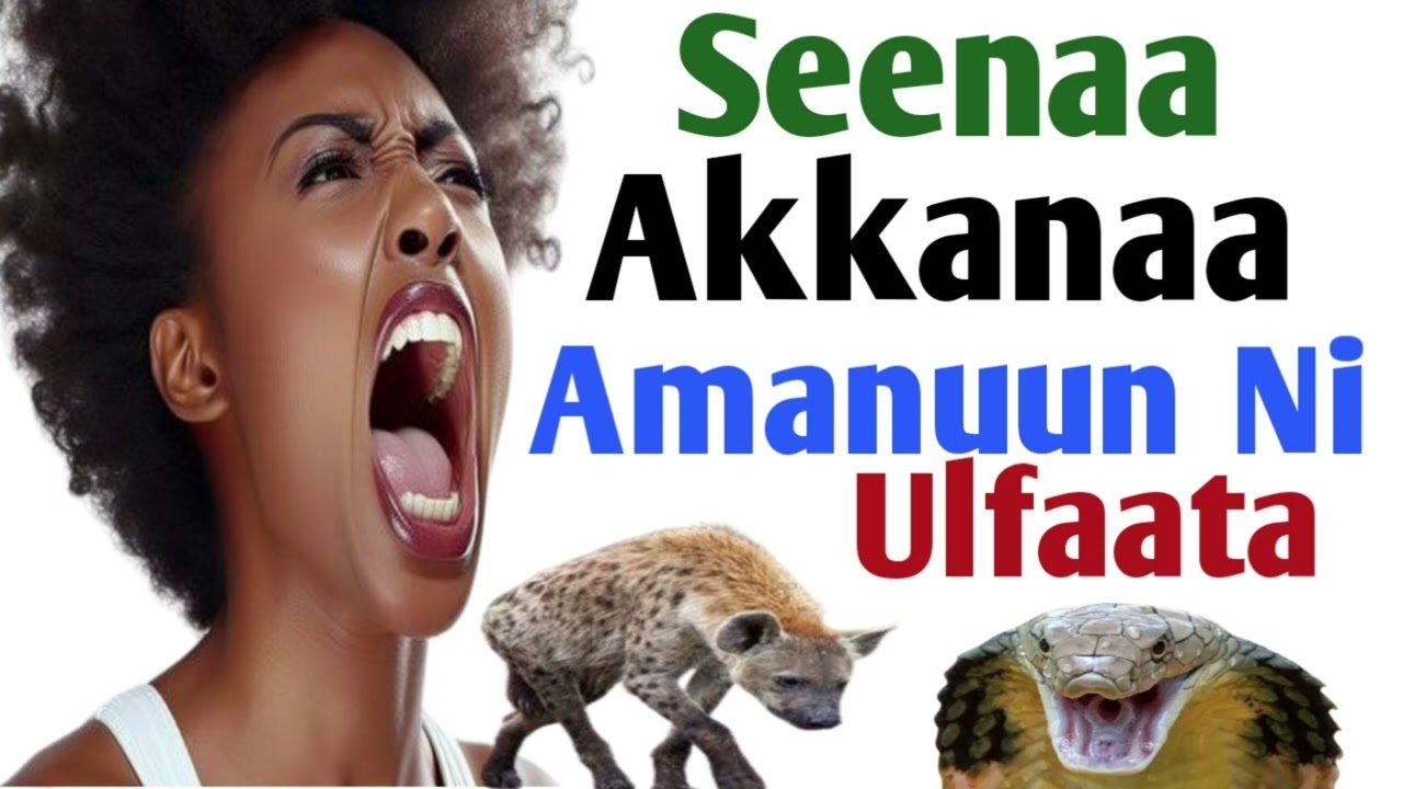 Seenaa Akkanaa Amanuun Ni Ulfaata