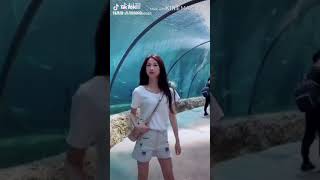 Tổng Hơpclip Tiktok Gái Xinh Đi Dạo Phố..tiktok Gai Xinh