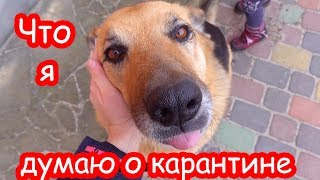 VLOG Домашние будни