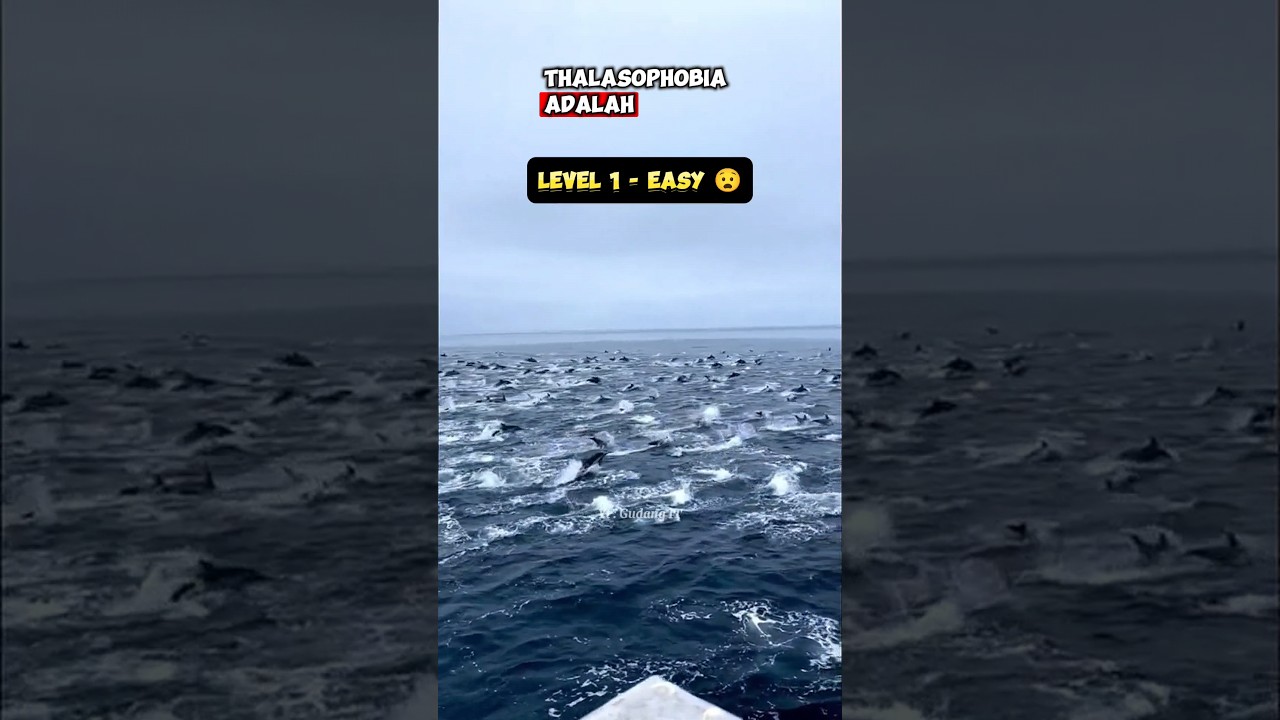 THALASOPHOBIA PHOBIA LAUTAN😱