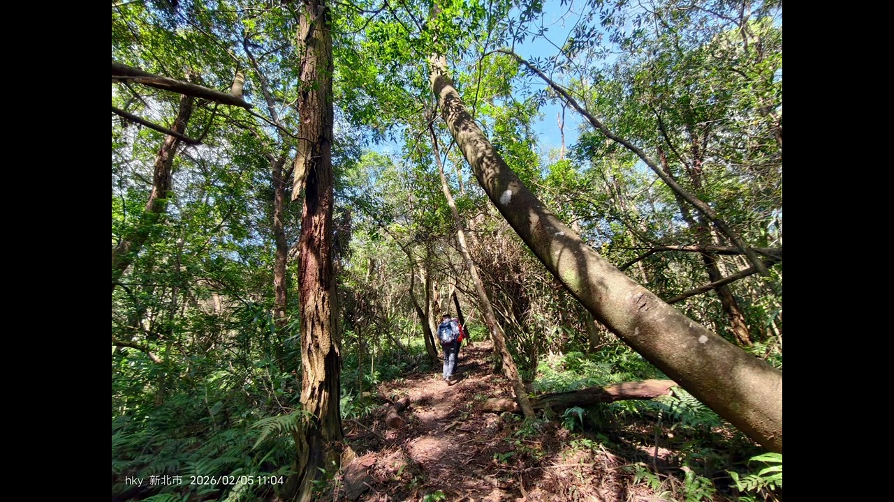 健走趣：雙溪（雙十縱走的ㄧ小段）：番子坑站➡️番子坑古道：大平林山➡️內平林山➡️大華車站