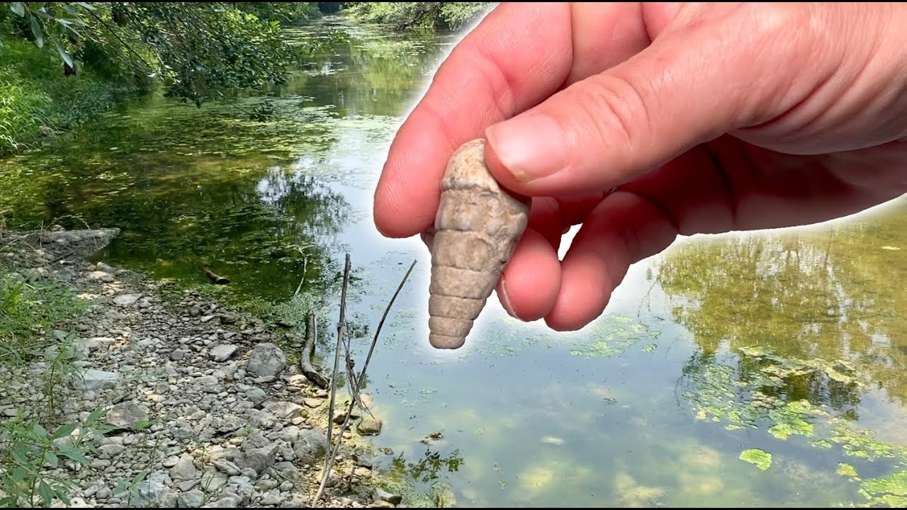 Summer Fossil Hunting North Texas Creeks 2023 fossilhunting YouTube