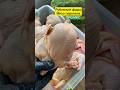 Готовим фарш с мяса перепела//Купить мясо перепела ORGANIC ✅, Хитрук Елена Украина
