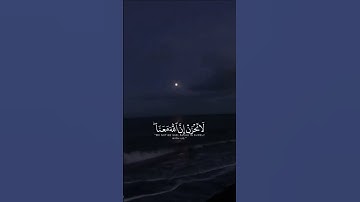 سورة التوبة قارئ أحمد النفيس