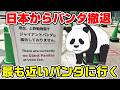【上野→??】日本からパンダが撤退したので最も近いパンダに行く