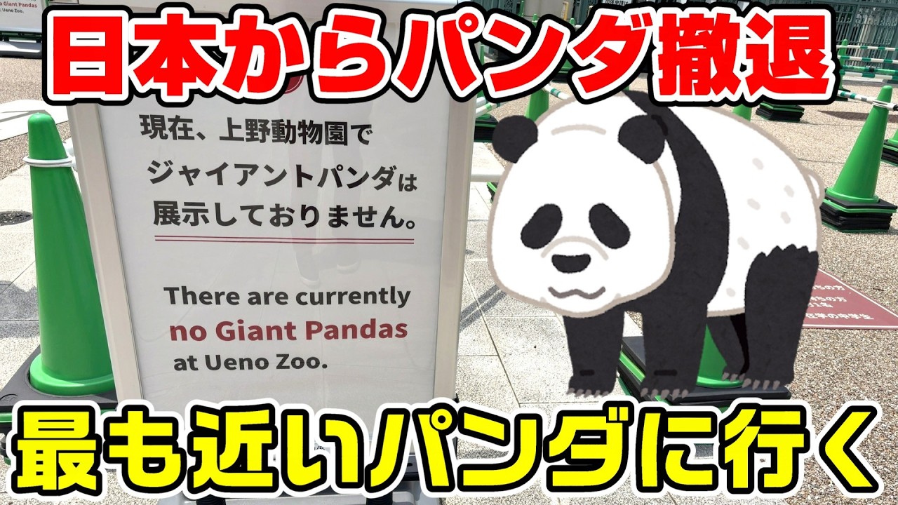 【上野→??】日本からパンダが撤退したので最も近いパンダに行く