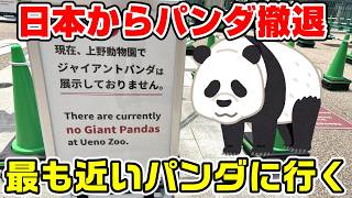 【上野→??】日本からパンダが撤退したので最も近いパンダに行く