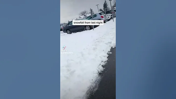 first snowfall of the year in Buffalo, NY November...