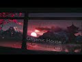 Organic house 2023  jamil ro