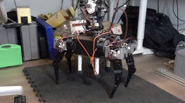 Quadruped robot walking gait at 1000 fps