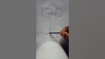 How to Draw a Tree Sketch Easy |  The Best Tree Drawing Ever Drawn For Beginners