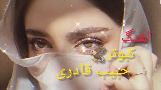 HABIBI QADERI - KABOOTAR حبیب قادری - اهنگ 