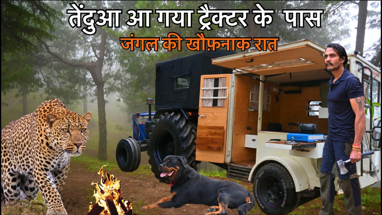 Night in wilderness | तेंदुआ आ गया ट्रैक्टर के पास | Fog Forest And Wild Night Encounter