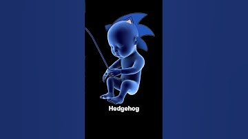 Sonic the Hedgehog is INSIDE YOU