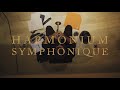Harmonium symphonique  dixie