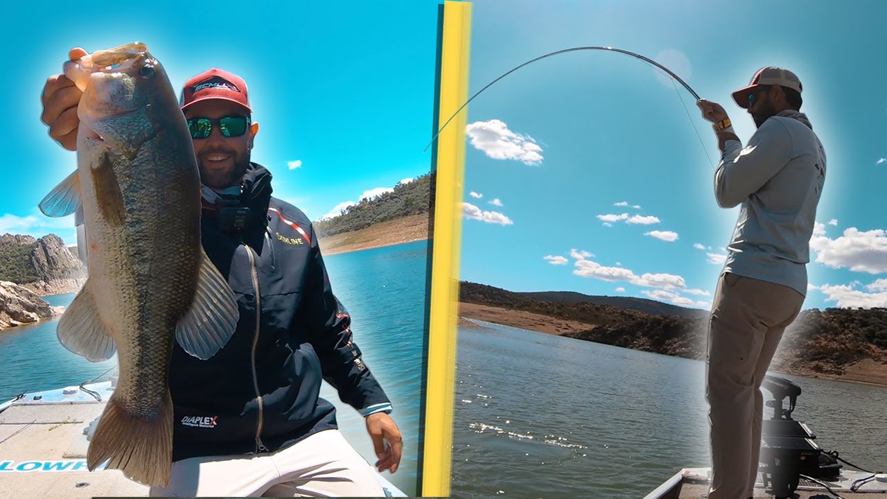 Pescando BLACK BASS a LANCE y CARPAS a FLY FISHING YouTube