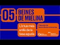 Beines de Mielina. Programa 05: L&#39;ictus més enllà de la fase aguda