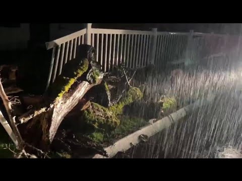 Strong winds, heavy rain, as atmospheric river reaches Bay Area - YouTube