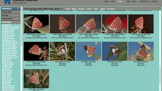 www.purvision.com Photo Gallery Navigation Tips