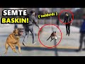 KÖPEĞİM SEMTİ AYAĞA KALDIRDI! TOPU PATLATTI!