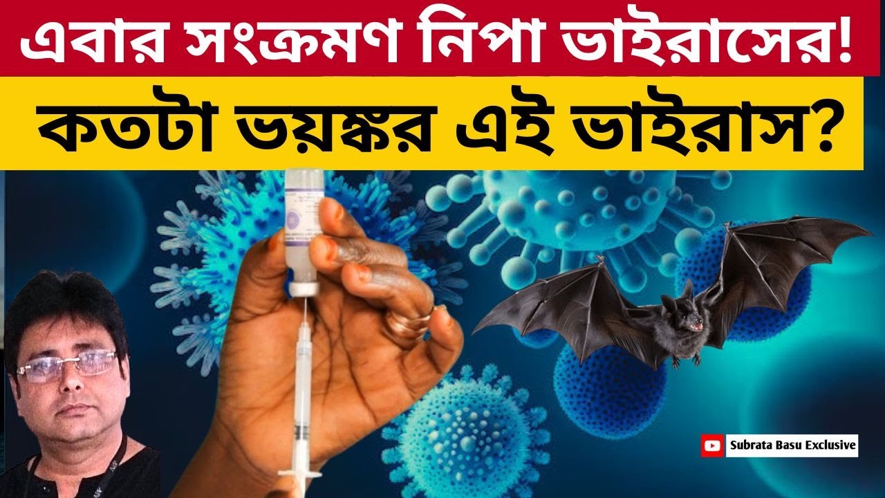 কী ভাবে বাঁচবেন নিপা থেকে? জানুন এই ভাইরাসের A to Z  | Nipah Virus | Science | Life Science | Health