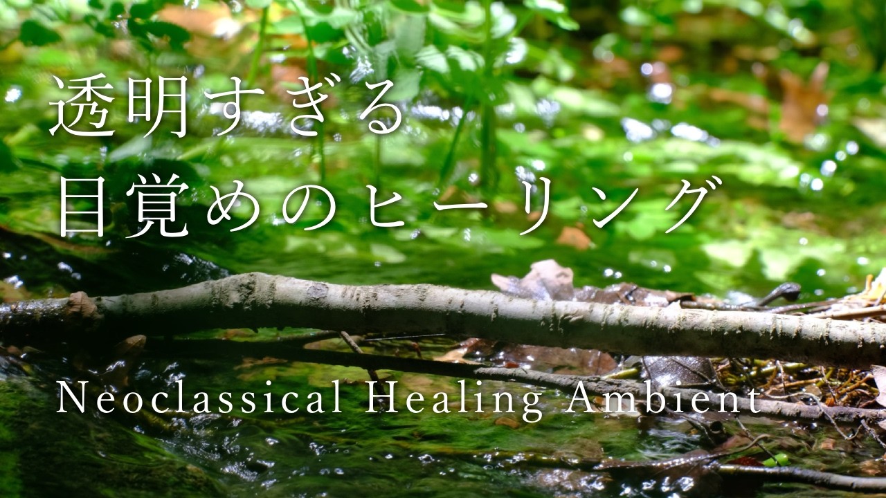 ⭐︎誕生日と好きな色からあなただけのヒーリング音楽を作曲します⭐︎ 幸せを感じています