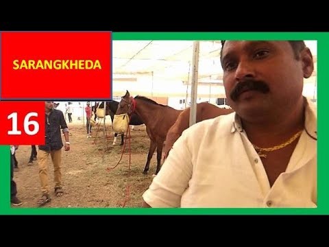 AMAZING HORSE RIDING AT CIRCUS AT KOLKATA 2018 AMAZING HORSE RIDING AT CIRCUS AT KOLKATA 2018