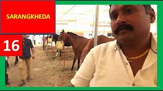 घोडा बाज़ार : Indian Horse Market Trading : sell horses online : Sarangkheda Horse Fair 2017 घोडा बाज़ार : Indian Horse Market Trading : sell horses online : Sarangkheda Horse Fair 2017
