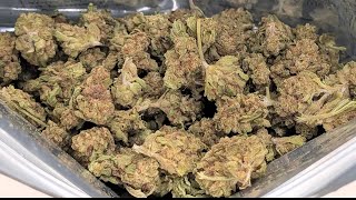 THCA-KLEINE BLÜTEN | Strawberry Cough Oz 🍓🔥 | Günstige THCA-Kleinblüten | THCA-Bewertung!!! TSB