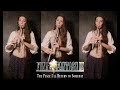 The place ill return to someday  final fantasy ix tin whistle version by leyna robinsonstone