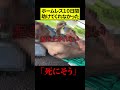 ホームレスが橋下でぶっ倒れてました。