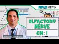 Neurology | Olfactory Nerve | Cranial Nerve I
