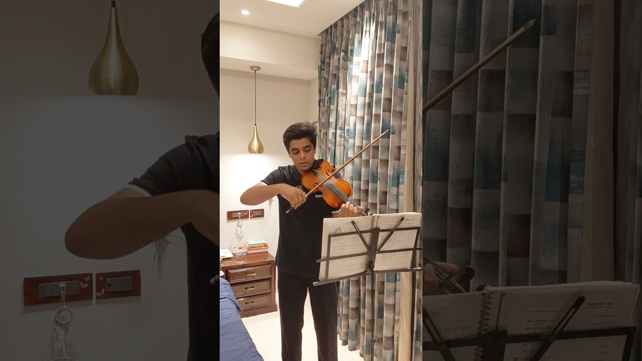 The godfather theme - speak softly love 🎼violin cover