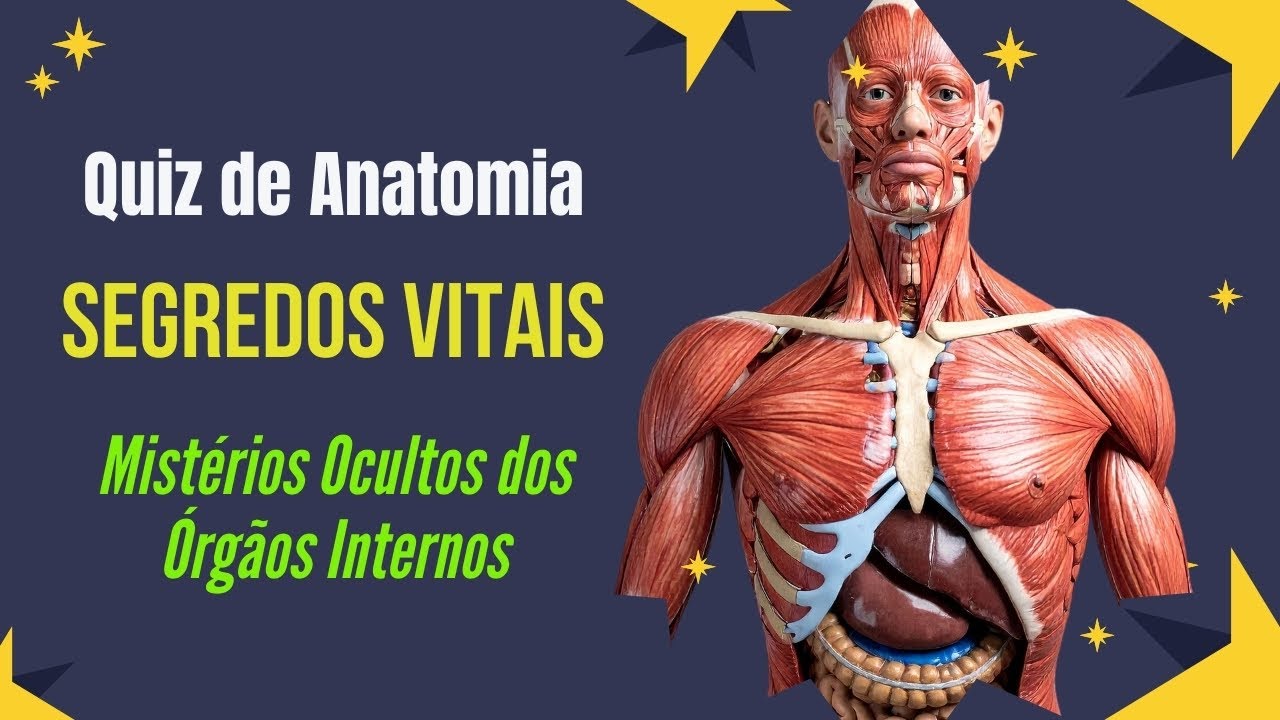 Викторина по Анатомии: Скрытые Тайны Внутренних Органов