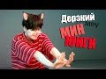 ДЕРЗКИЙ (МЯУ) МИН ЮНГИ | SUGA BTS | K-POP ARI RANG