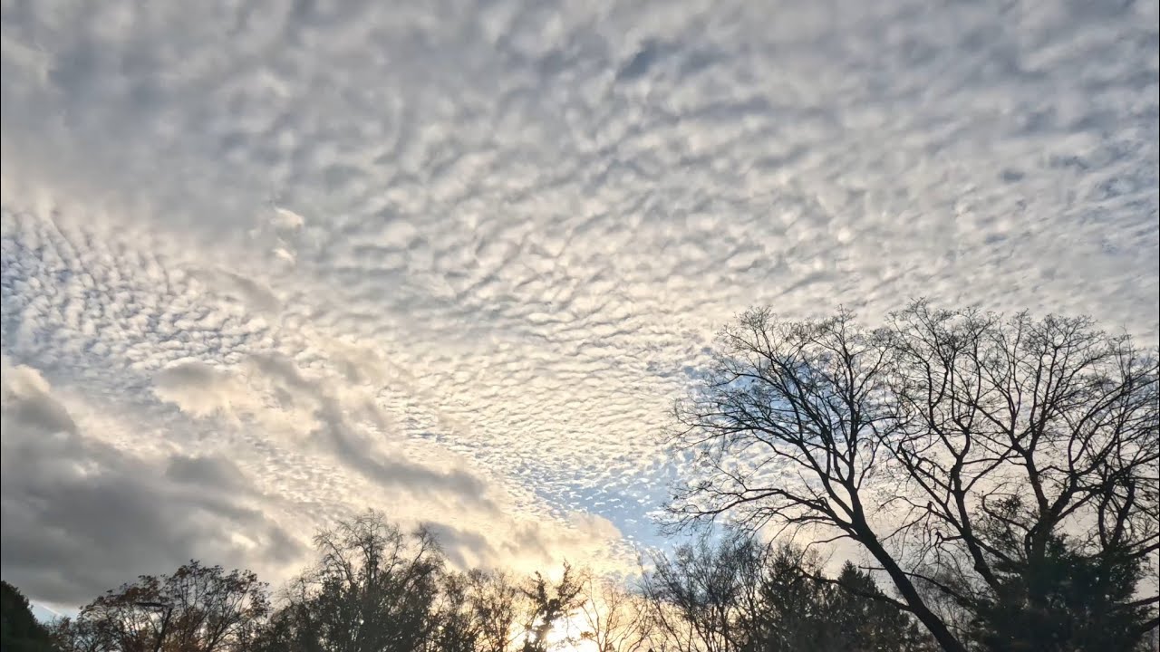 GWC Time Lapse - Late Afternoon Clouds - November 24, 2024 - YouTube