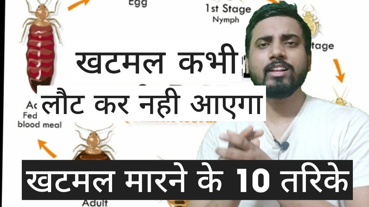 Kill Bed Bugs with Neem Oil: A 5-Step DIY Guide for Relief ...