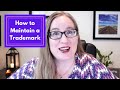 How To Maintain A Trademark Trademark Renewal Timeline How To Keep A Trademark How To Maintain A Trademark Trademark Renewal Timeline How To Keep A Trademark