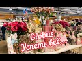 Globus  / декорации для Пасхи  /  Канцелярия/ жизнь в Германии / Германия/ Lahnstein/ покупки/vlog