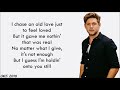 Niall Horan - Arms Of A Stranger (lyrics)