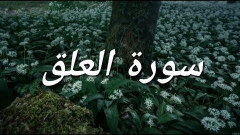 سورة العلق كاملة | أحمد النفيس