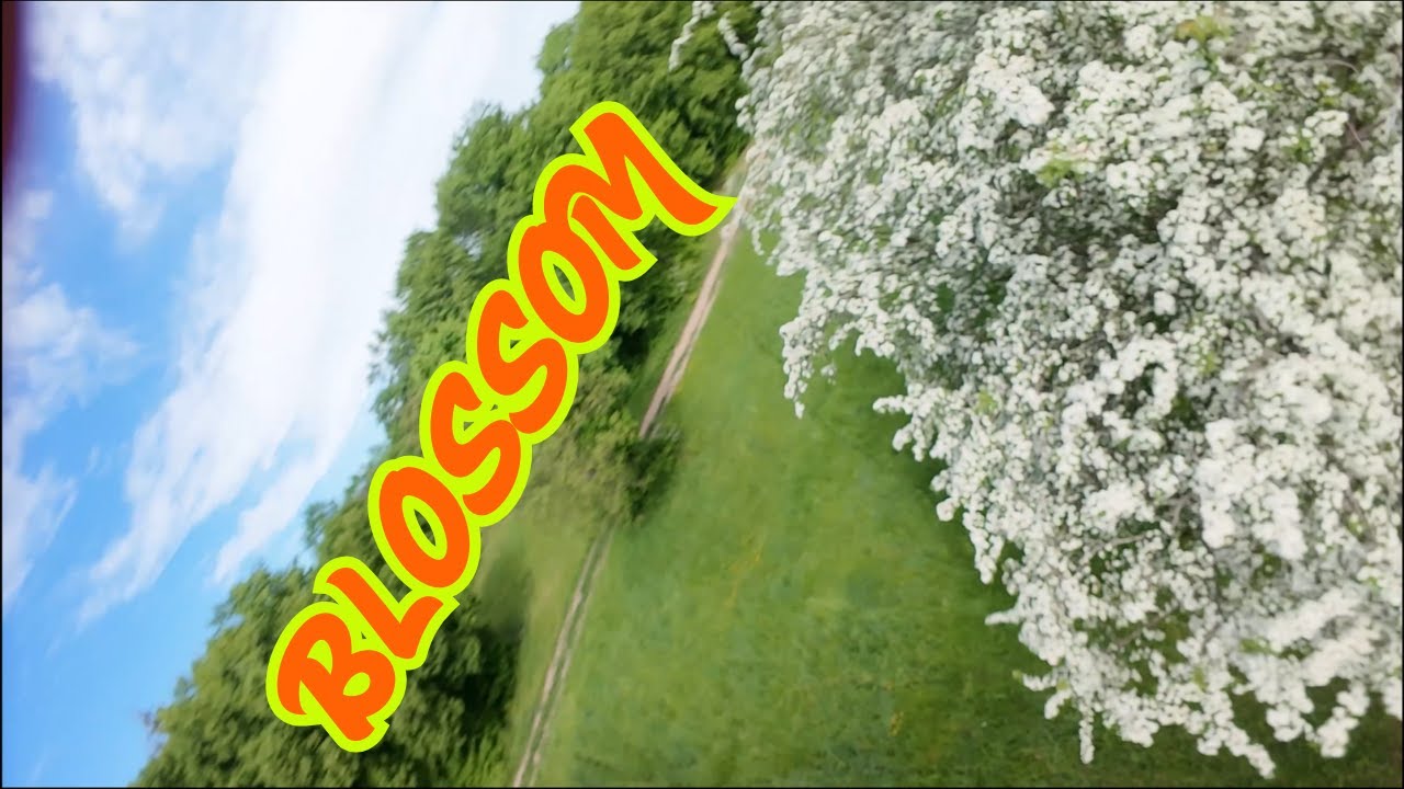 BLOSSOM / FPV freestyle